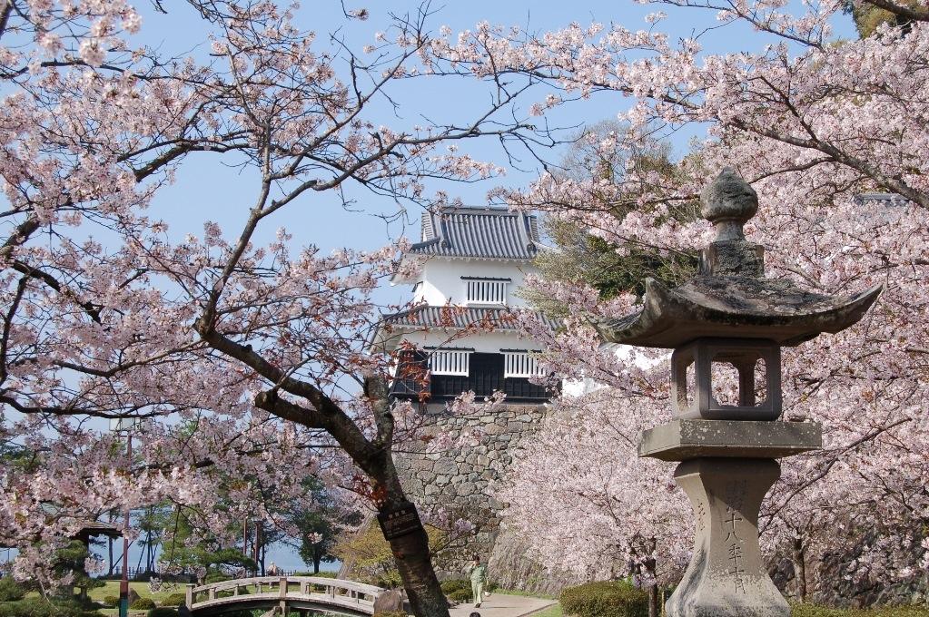 おおむら花まつり、長崎県大村市